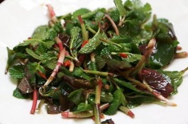 鱼腥草的功效和作用禁忌，鱼腥草的功效与作用1