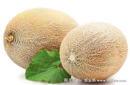 山东肥城有哪些特产