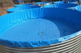 一斤鱼的价格是多少，鲚鱼养殖技术