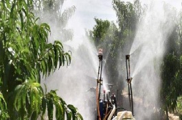 什么是液肥，液肥使用方法