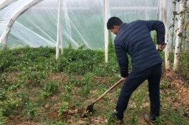 二十四节气农事歌经验总结,农民必看,【立春】 立春春打六九头