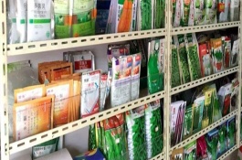 辣椒应该怎么追肥，重施花果肥