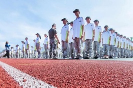 台湾相思苗多少钱一株，台湾相思小苗多少钱一株