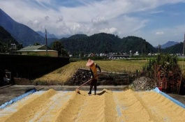 没人注意到的农村暴利行业有哪些，没人注意的农村暴利行业