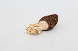 一斤羊肚菌多少钱，羊肚菌多少钱一斤