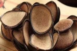 鹿茸菇一斤多少钱，培养瓶杀菌