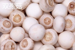 双孢蘑菇一斤多少钱,双孢菇的价格多少钱一斤