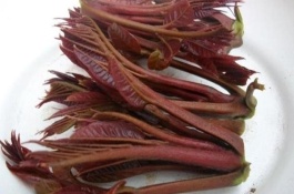 河南登封市有哪些土特产