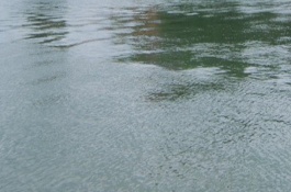 缺水地区优先发展什么农业，缺水地区是怎样节约水的
