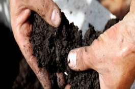 菌肥的执行标准，微生物菌肥的使用方法