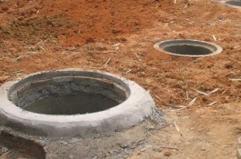 没人做最赚钱的行业