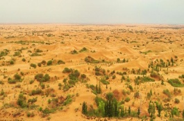 盘点百合科多肉植物品种