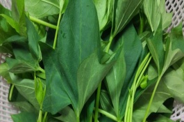 红薯叶农村人拿来喂猪都嫌麻烦，红薯叶菜谱