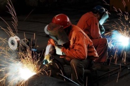 农村赚钱的项目有哪些，青饲特畜业