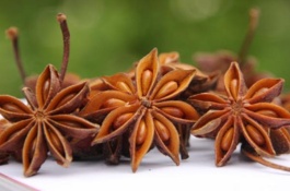 草莓苗哪里有便宜的批发，草莓苗哪里有便宜批发