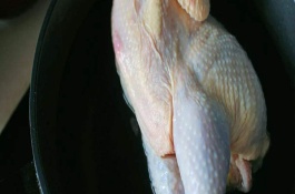 公鸡肉和母鸡肉的区别，鸡肉如何烹饪