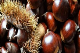 哪些特产能带走湖北京山市，湖北京山市哪些特产能带走