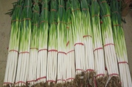 章丘大葱一亩地能产多少斤,章丘大葱一亩地能产多少斤