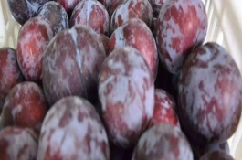 黑布林是转基因水果吗，黑布林是转基因水果吗