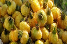 刺梨是金樱子吗,刺梨是哪里的特产