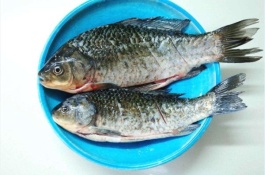 彭泽鲫鱼产地在哪里，彭泽鲫鱼产地在哪里