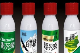 如何才能分辨真假农药，如何才能分辨真假农药