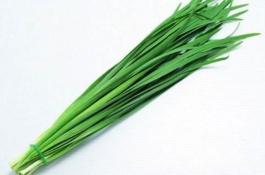 韭菜有哪些高产优良品种