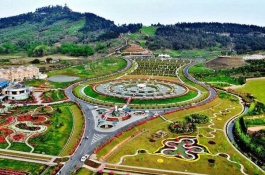 农村适合做什么加工厂