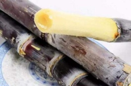 甘蔗一斤多少钱，甘蔗价格多少钱一斤