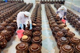 如何在农村创业致富