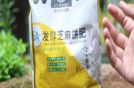 芝麻饼肥料适合什么花，芝麻饼肥的养花原理