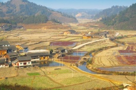 尖吻鲈原产地在哪里，尖吻鲈的养殖优势