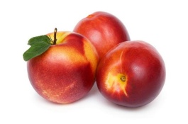 一斤油桃多少钱,油桃优良品种介绍