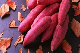 河南舞钢市有哪些特产