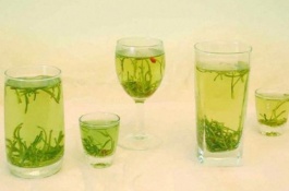 一棵金银花苗多少钱