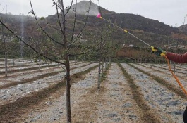 杀虫剂有哪些种类