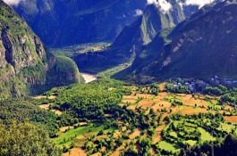 甜菜的产地在哪里，甜菜有哪些种类