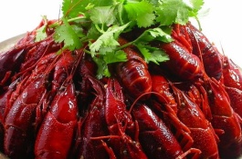 中国小龙虾之乡在哪里,小龙虾有哪些品种