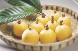 一棵白玉枇杷苗多少钱,白玉枇杷苗价格多少钱一棵