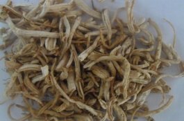 现在种植什么药材好，现在什么药材好种植