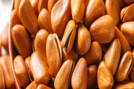 松子几年结果,松子的种类