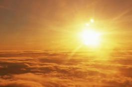 为什么向日葵面对太阳,向日葵一直向着太阳吗