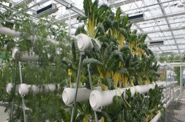 在农村摆摊卖什么赚钱，摆摊卖两元小商品