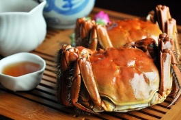 大闸蟹苗有哪些品种,固城湖大闸蟹