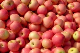 什么是新疆奎屯市特产