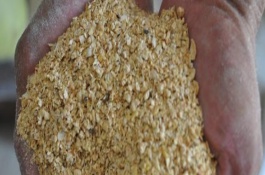 杂粕代替豆粕有哪些问题，豆粕和杂粕粗蛋白含量