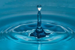 四川省崇州市有哪些特产，崇州地处成都平原腹心地带