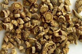 陕北适合种什么药材