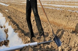 推荐加工厂项目，农副产品深加工厂