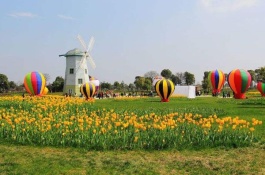 肥料一般是怎么生产的，化肥生产工艺相对简单